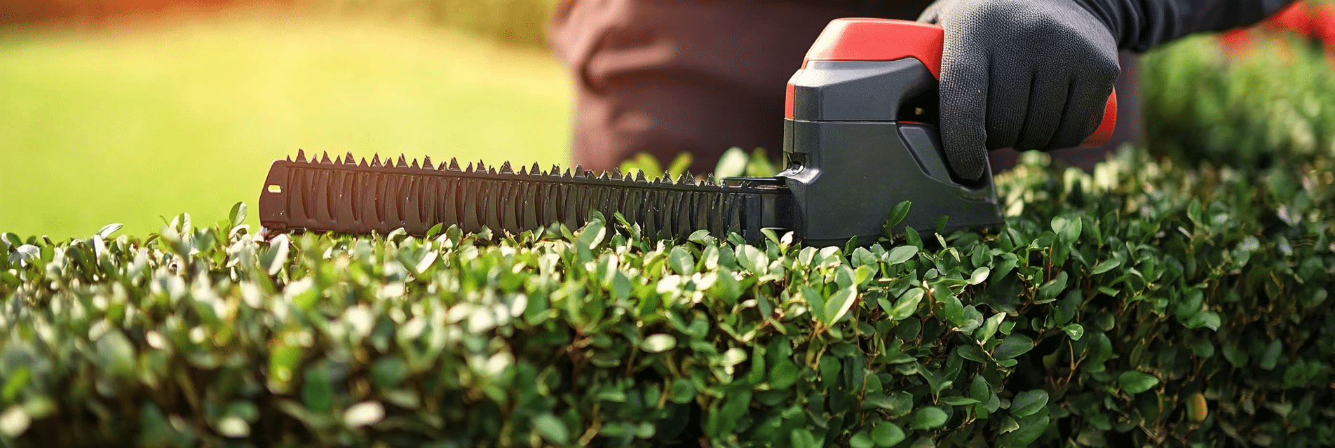 Jardinier taillant une haie avec précision dans un jardin soigné.